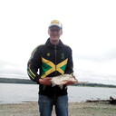 ���������� ������, ���� ������� ���������, 41 ���, ������������ ��� ������, ����� � ���������, c�������� ���������