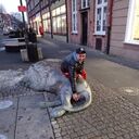 ���������� ����, ���� ������� ����, 36 ���, ������������ ��� ������, ����� � ���������