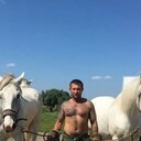 ���������� �����������, ���� ������� ������, 29 ���, ������������ ��� ������, ����� � ���������, c�������� ���������, ���������