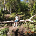 ���������� ����������, ���� ������� ����, 49 ���, ������������ ��� ������, ����� � ���������, c�������� ���������