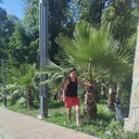 ���������� ��������, ���� ������� ����, 30 ���, ������������ ��� ����� � ���������, c�������� ���������