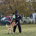 ���������� �����-���������, ���� ����� Zlayababka, 20 ���, ������������ ��� ������, ����� � ���������