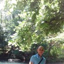  ,   , 61 ,   