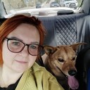 ���������� �������, ���� ������� �������, 48 ���, ������������ ��� ����� � ���������, c�������� ���������