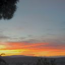 ���������� �������, ���� ������� Gigi, 37 ���, ������������ ��� ������, ����� � ���������, c�������� ���������