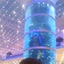 ���������� ������, ���� ������� �������, 42 ����, ������������ ��� ������, ����� � ���������, c�������� ���������