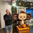 ���������� �����������, ���� ������� �����, 38 ���, ������������ ��� ������, ����� � ���������