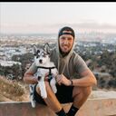 ���������� Alkmaar, ���� ������� ����, 40 ���, ������������ ��� ������, ����� � ���������