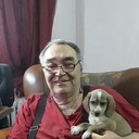  ,   , 63 ,  