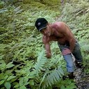  ,   , 41 ,   ,   , 