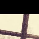 ���������� ��������, ���� ������� �������, 27 ���, ������������ ��� ������, ����� � ���������