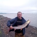 ���������� �����������-��-�����, ���� ������� ������, 48 ���, ������������ ��� ������, ����� � ���������, c�������� ���������