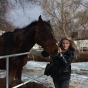 ���������� �������, ���� ������� Elena, 48 ���, ������������ ��� ����� � ���������, c�������� ���������