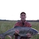  ,   , 51 ,   ,   