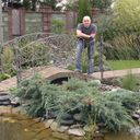 ���������� �����, ���� ������� ������, 50 ���, ������������ ��� ������, ����� � ���������, c�������� ���������