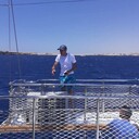  --,   Tigran, 33 ,   ,   