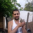  ,   , 39 ,     , c , 