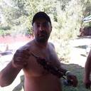  --,   , 52 ,   ,   , c 