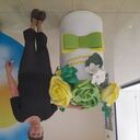 ���������� ���, ���� ������� ����, 53 ����, ������������ ��� ����� � ���������, c�������� ���������