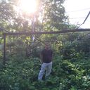 ���������� ����, ���� ������� Samir, 41 ���, ������������ 