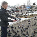 ���������� �����, ���� ������� �����, 33 ����, ������������ ��� ������