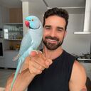 ���������� ����������, ���� ������� ������, 33 ����, ������������ ��� ������, ����� � ���������, c�������� ���������