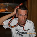  ,   , 56 ,   