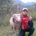 ���������� ������, ���� ������� ���������, 38 ���, ������������ ��� ������, ����� � ���������