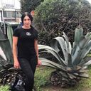 ���������� ������, ���� ������� ��������, 55 ���, ������������ ��� c�������� ���������