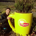 ���������� ����, ���� ������� ������, 43 ����, ������������ ��� ������, ����� � ���������, c�������� ���������