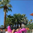 ���������� ����, ���� ������� ���������, 23 ����, ������������ ��� ������, ����� � ���������