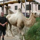 ���������� ������, ���� ������� ����������, 46 ���, ������������ ��� ������, ����� � ���������, c�������� ���������