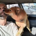 ���������� �����-���������, ���� ������� ArtemSkiShin, 44 ����, ������������ ��� ������, ����� � ���������, c�������� ���������, ���������