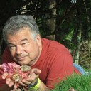  Albertson,   Alfredwilson, 60 ,   ,   , c 