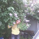 ���������� ��������, ���� ������� ������, 44 ����, ������������ ��� ������, ����� � ���������, c�������� ���������