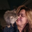 ���������� ������, ���� ������� �������, 50 ���, ������������ ��� ������, ����� � ���������, c�������� ���������