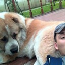 ���������� ��������, ���� ������� ������, 37 ���, ������������ ��� ������, ����� � ���������, c�������� ���������, ���������