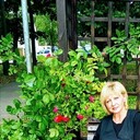  ,   , 59 ,   ,   , 