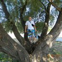 ���������� �������, ���� ������� ������, 34 ����, ������������ ��� ������