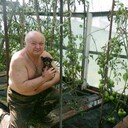  ,   , 70 ,   ,   
