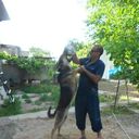  ,   Armen, 55 ,   