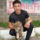 ���������� ������, ���� ������� �������, 38 ���, ������������ ��� ������, ����� � ���������, c�������� ���������