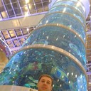 ���������� ������, ���� ������� ����, 40 ���, ������������ ��� ������