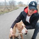 ���������� ������, ���� ������� ����, 38 ���, ������������ ��� ������, ����� � ���������