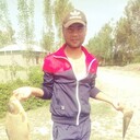 ���������� �������, ���� ������� FAYYOZ, 35 ���, ������������ ��� ������, ����� � ���������, c�������� ���������, ���������