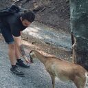  ,   , 27 ,   ,   , c , 