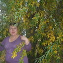  ,   LEDI, 50 ,     , c 