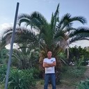 ���������� ������, ���� ������� ������, 44 ����, ������������ ��� ������, ����� � ���������, c�������� ���������