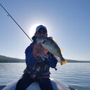 ���������� ��������, ���� ������� ������, 35 ���, ������������ ��� ������, ����� � ���������, c�������� ���������