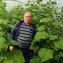 ���������� �������, ���� ������� �����, 61 ���, ������������ ��� c�������� ���������